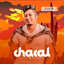 Album cover of Ao Vivo no Maranhão - O Rei da Pisada
