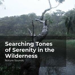 Album cover of Searching Tones of Serenity in the Wilderness