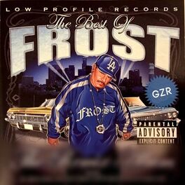 Album cover of The Best of Frost