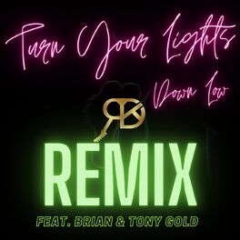 Album cover of Turn Your Lights Down Low Remix