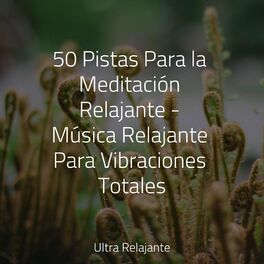 Album cover of 50 Pistas Para la Meditación Relajante - Música Relajante Para Vibraciones Totales