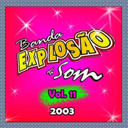 Album cover of 2003 - VOL. 11