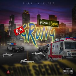 Album cover of Run Grung