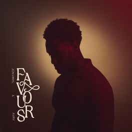 Album cover of Favours