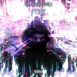 Album cover of Snood Huckster I