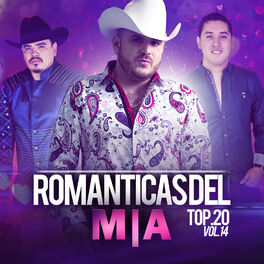 Album cover of Romanticas Del M|a Top 20, Vol. 14