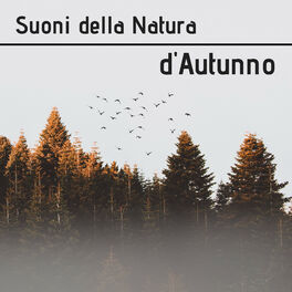 Natura Armonia: música, letras, canciones, discos | Escuchar en Deezer