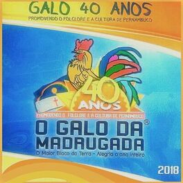 Album cover of Galo 40 Anos: Promovendo o Folclore e a Cultura de Pernambuco (O Maior Bloco da Terra / Alegria o Ano Inteiro)