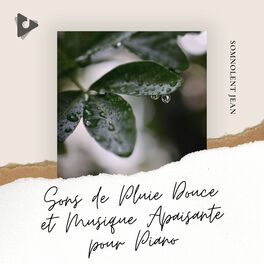 Album cover of Sons de Pluie Douce et Musique Apaisante pour Piano