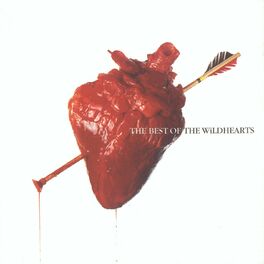 Album cover of The Best Of The Wildhearts