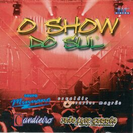 Album cover of O Show do Sul (Ao Vivo)
