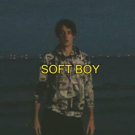 Album cover of Soft Boy