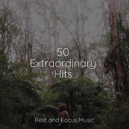 Album cover of 50 Extraordinary Hits