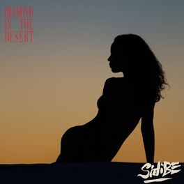 Album cover of Diamond in the Desert