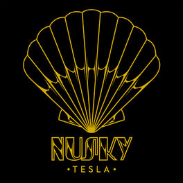 Album cover of Tesla