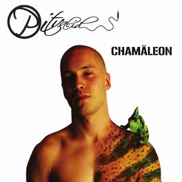 Album cover of Chamäleon