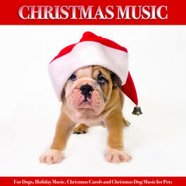 Dog deals christmas music