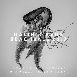 Album cover of Beachball (Andry Meets Schalli @ Monkey Island Remix)