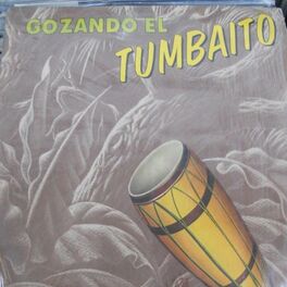 Album cover of Gozando el tumbaito