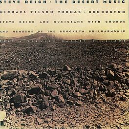 Album cover of The Desert Music