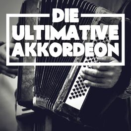 Album cover of Die ultimative Akkordeon Playlist, Vol. 1