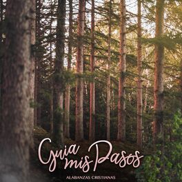 Album cover of Guia Mis Pasos