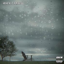Album cover of when it rained
