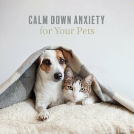 Album cover of Calm Down Anxiety for Your Pets: Relaxing Background Music, Peaceful Dogs and Cats with New Age Music