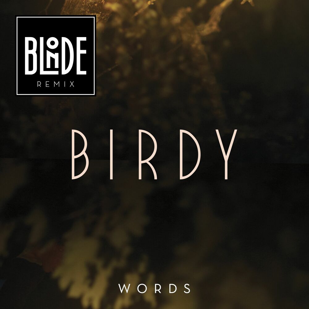 Blonde remix. Birdy. Birdy Wings Words. Blond слово. Слово ремикс с эффектом.