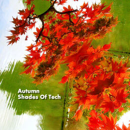 Album cover of Autumn Shades Of Tech