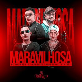 Album cover of Maravilhosa