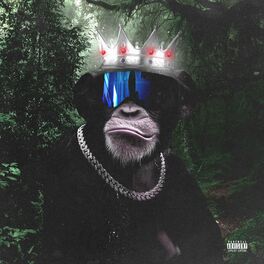 Album cover of Monkey King