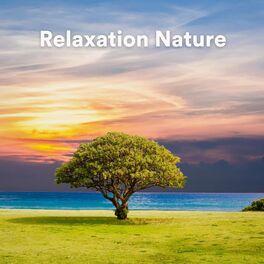 Album cover of Relaxation Nature