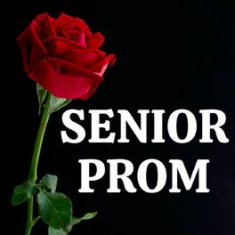 Album cover of Senior Prom 2021