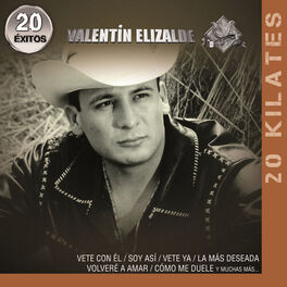 Album cover of 20 Kilates 20 Éxitos