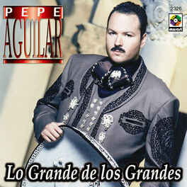 Album cover of Lo Grande De Los Grandes