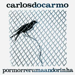 Album cover of Por Morrer Uma Andorinha