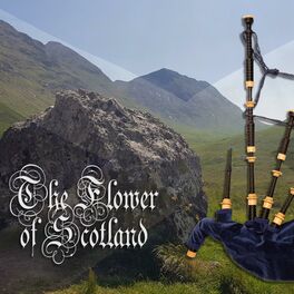 Album cover of The Flower of Scotland