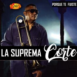 Album cover of Porque Te Fuiste