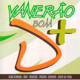 Album cover of Vanerão Bom D +