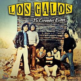 Album cover of 15 Grandes Exitos