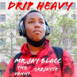 Album cover of Drip Heavy (feat. v4nn! & Gr8jay5k)