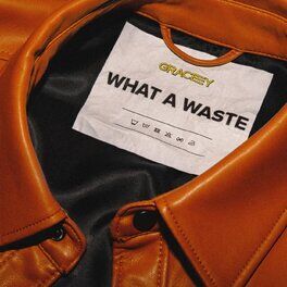 Album cover of What A Waste