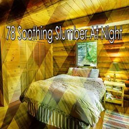 Album cover of 78 Soothing Slumber At Night