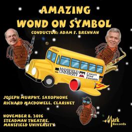 Album cover of Amazing Wond on Symbol