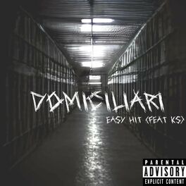Album cover of Domiciliari (feat. KS) [Radio Edit]