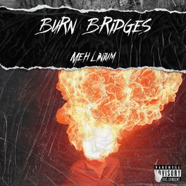 Album cover of Burn Bridges