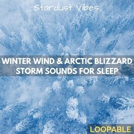 Album cover of Winter Wind & Arctic Blizzard Storm Sounds for Sleep (Loopable)