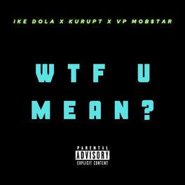 Album cover of WTF U Mean (feat. Kurupt, Tha Dogg Pound & VP Mob$tar)