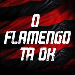 Album cover of O Flamengo Tá Ok